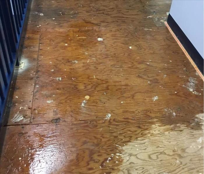Water Damaged Sub Floors